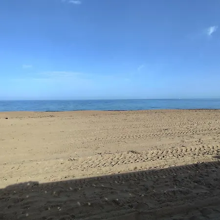 Primera Línea Marinas *